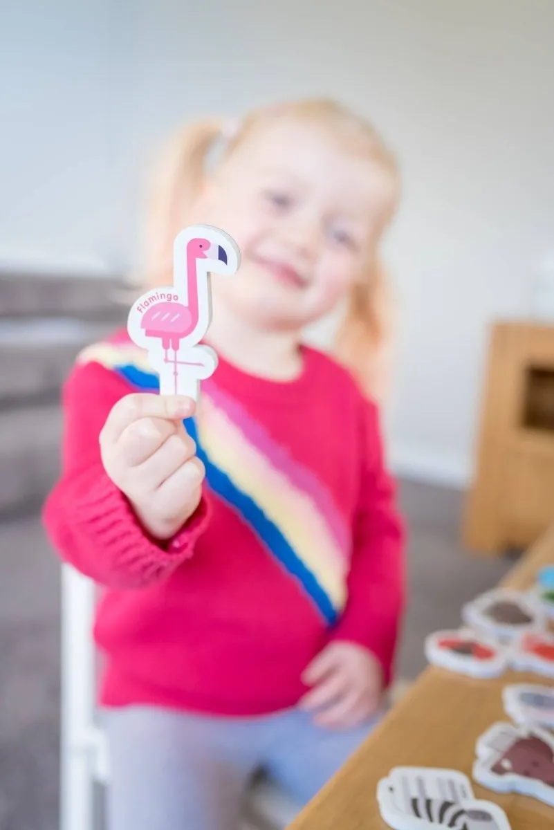 Magnetic Animals & Letters by Curious Columbus