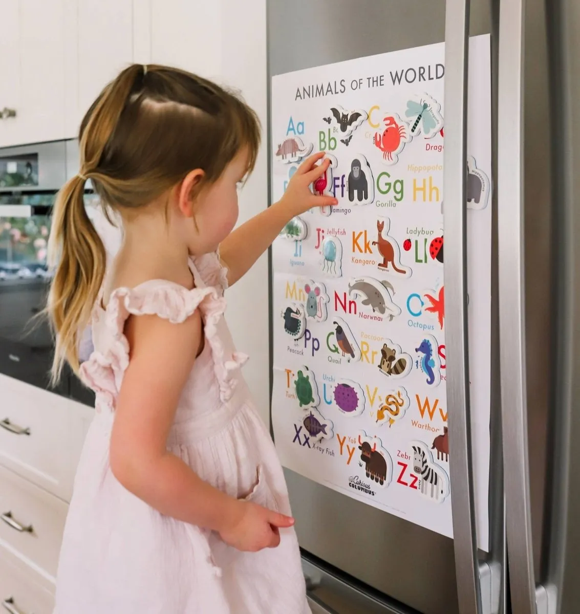 Magnetic Animals & Letters by Curious Columbus