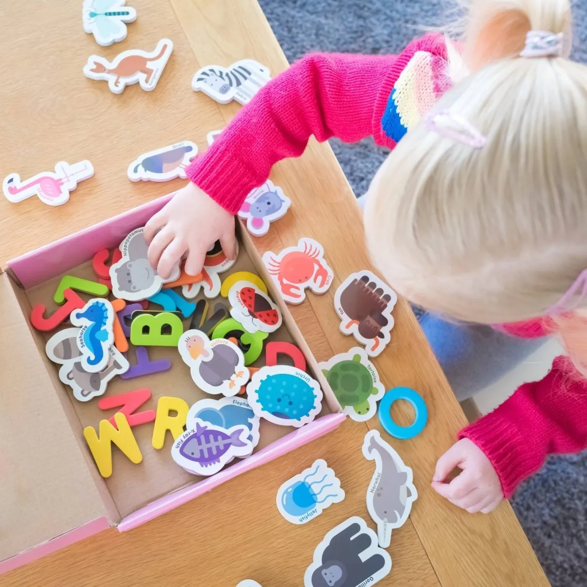 Magnetic Animals & Letters by Curious Columbus