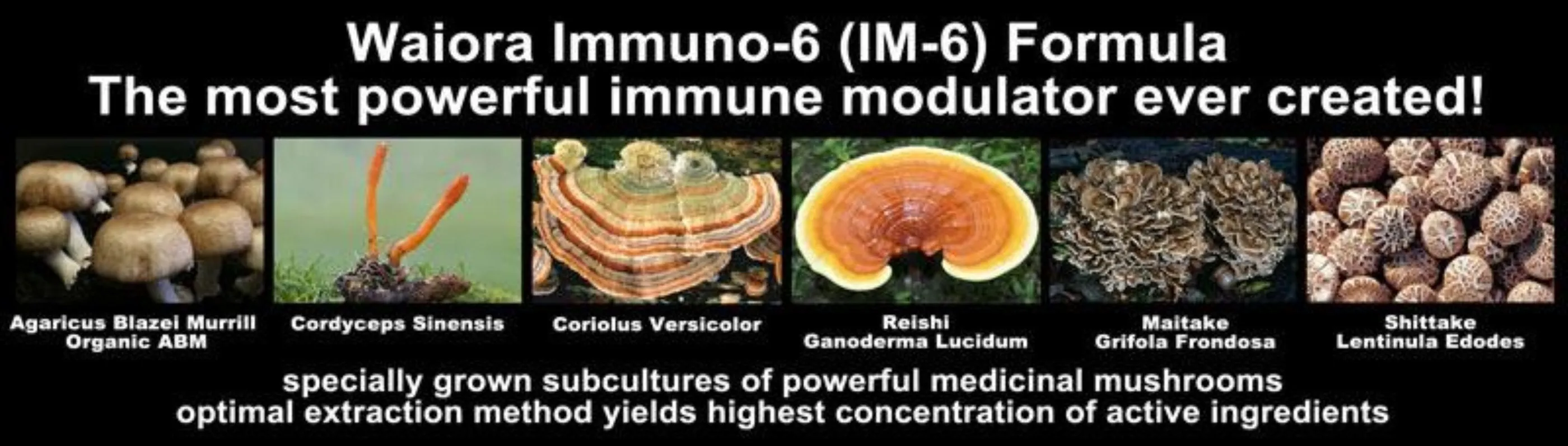 MegaDefense Immune Support