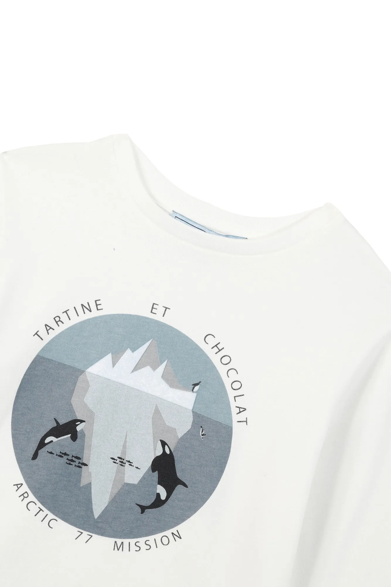 T-shirt - Bleu illustration banquise